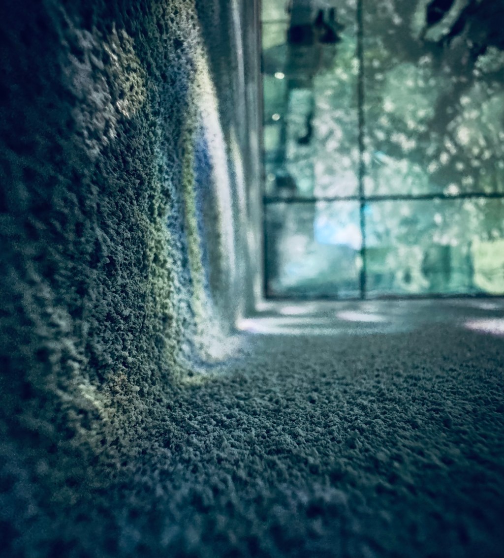 sustainable curiosity